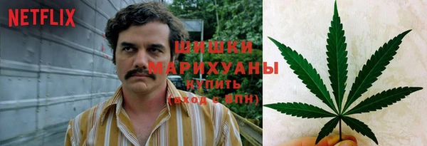 дурь Надым
