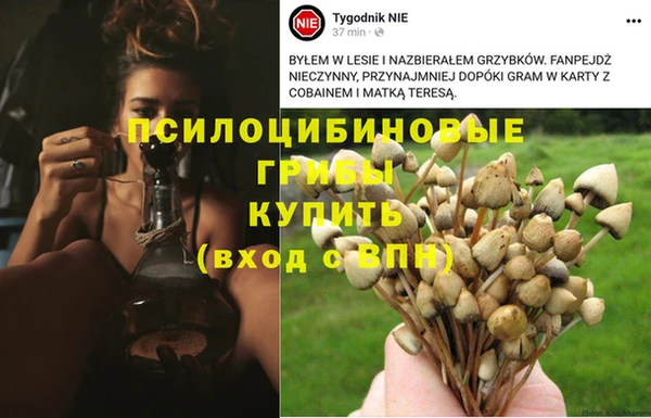 первитин Навашино