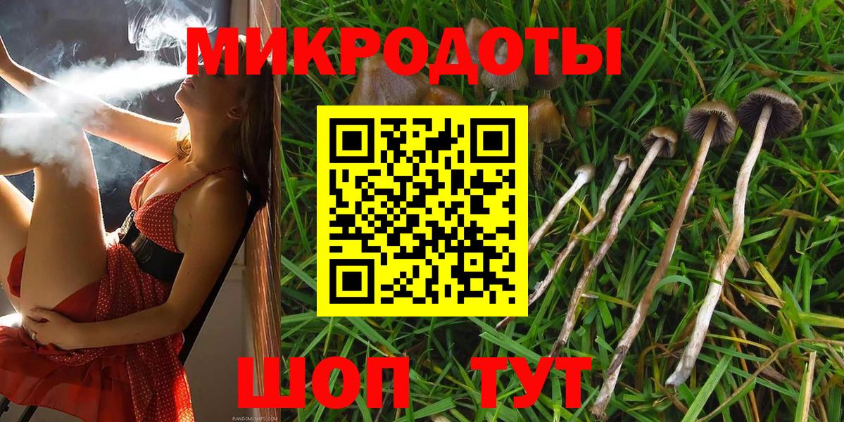 Псилоцибиновые грибы Psilocybe  Санкт-Петербург  Псилоцибиновые грибы мухоморы 
