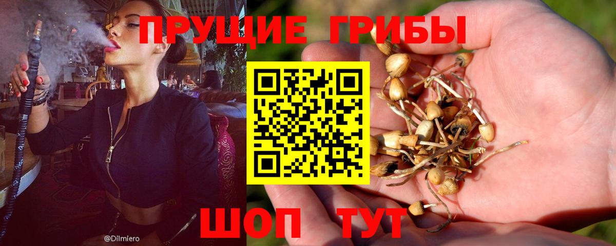 Галлюциногенные грибы GOLDEN TEACHER Санкт-Петербург