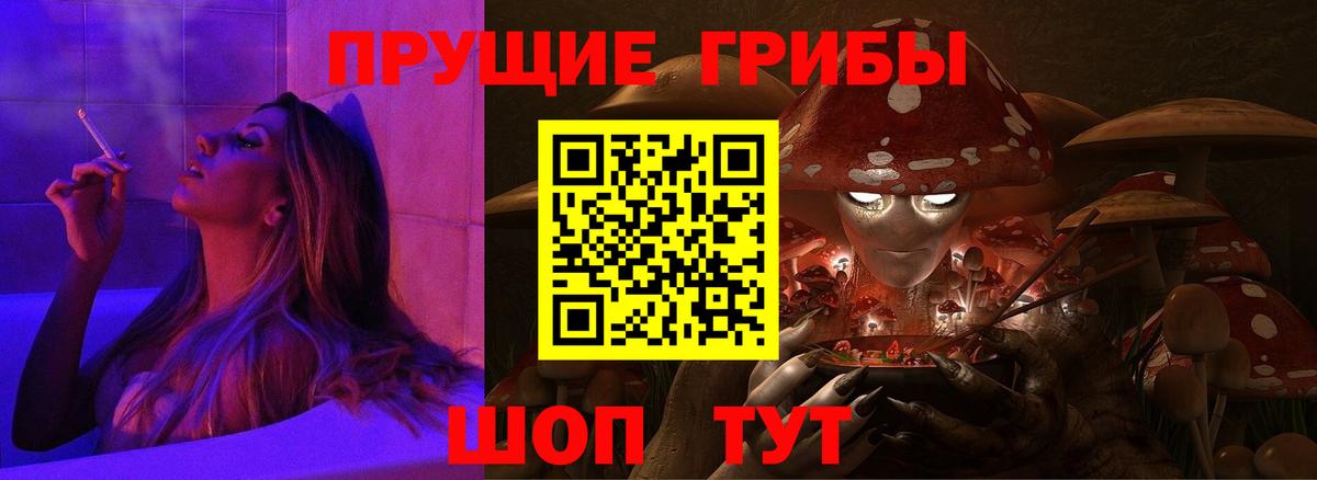 Псилоцибиновые грибы мицелий Санкт-Петербург