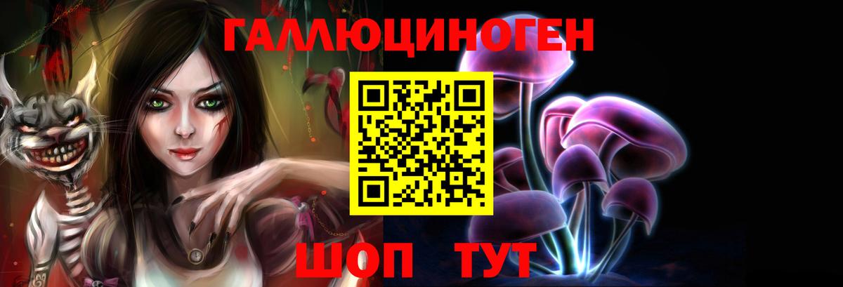 Санкт-Петербург  Галлюциногенные грибы MAGIC MUSHROOMS  Вход с VPN 